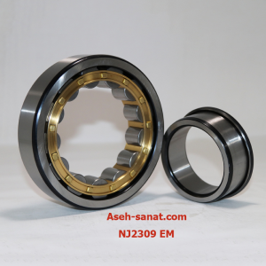 رولبرینگ صنعتی NJ2309